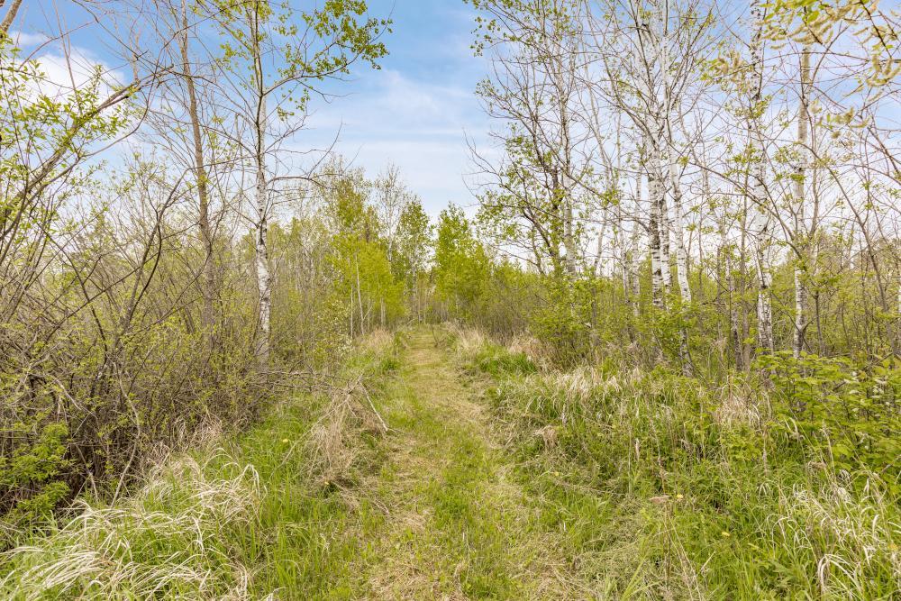 4085 County Rd 6