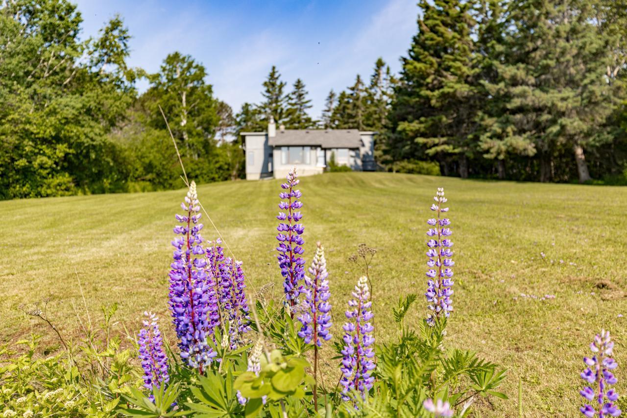 544 Old North Shore Road