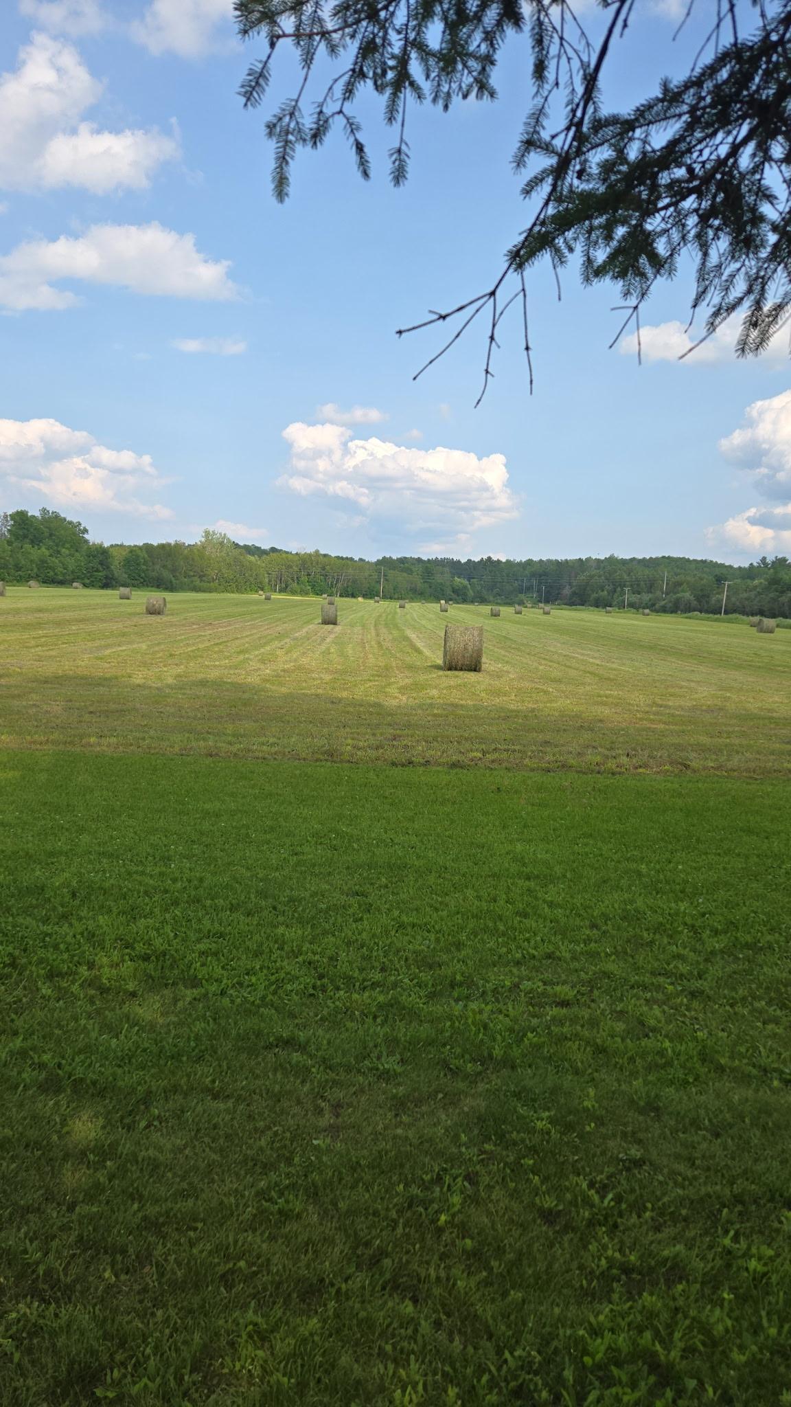 3951 Point Road