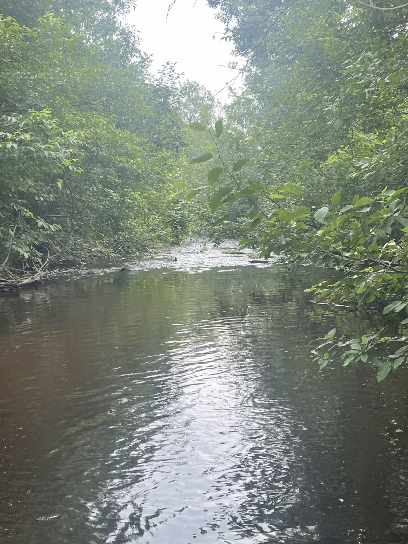 3951 Point Road