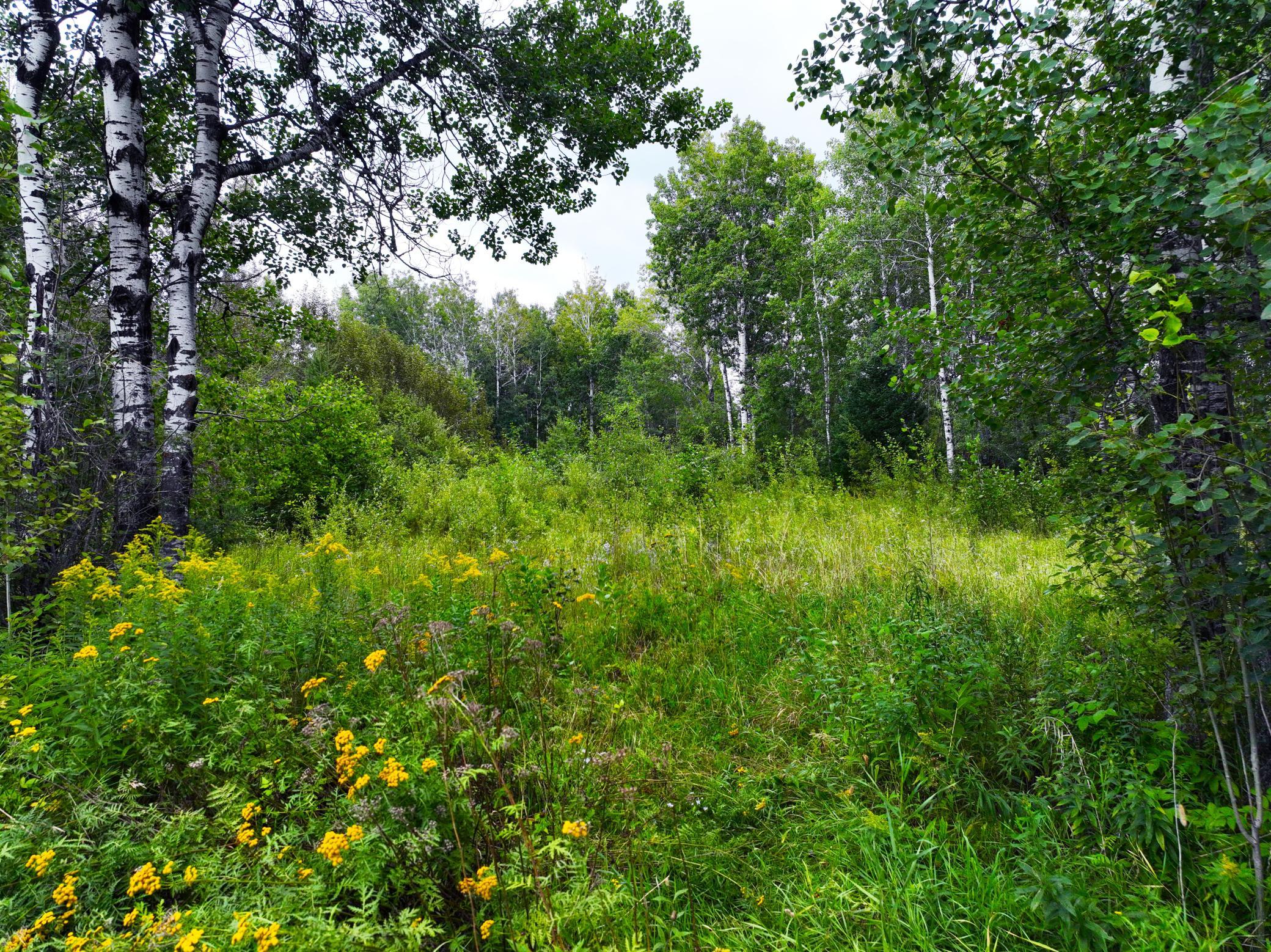 9128 Peary Junction Road