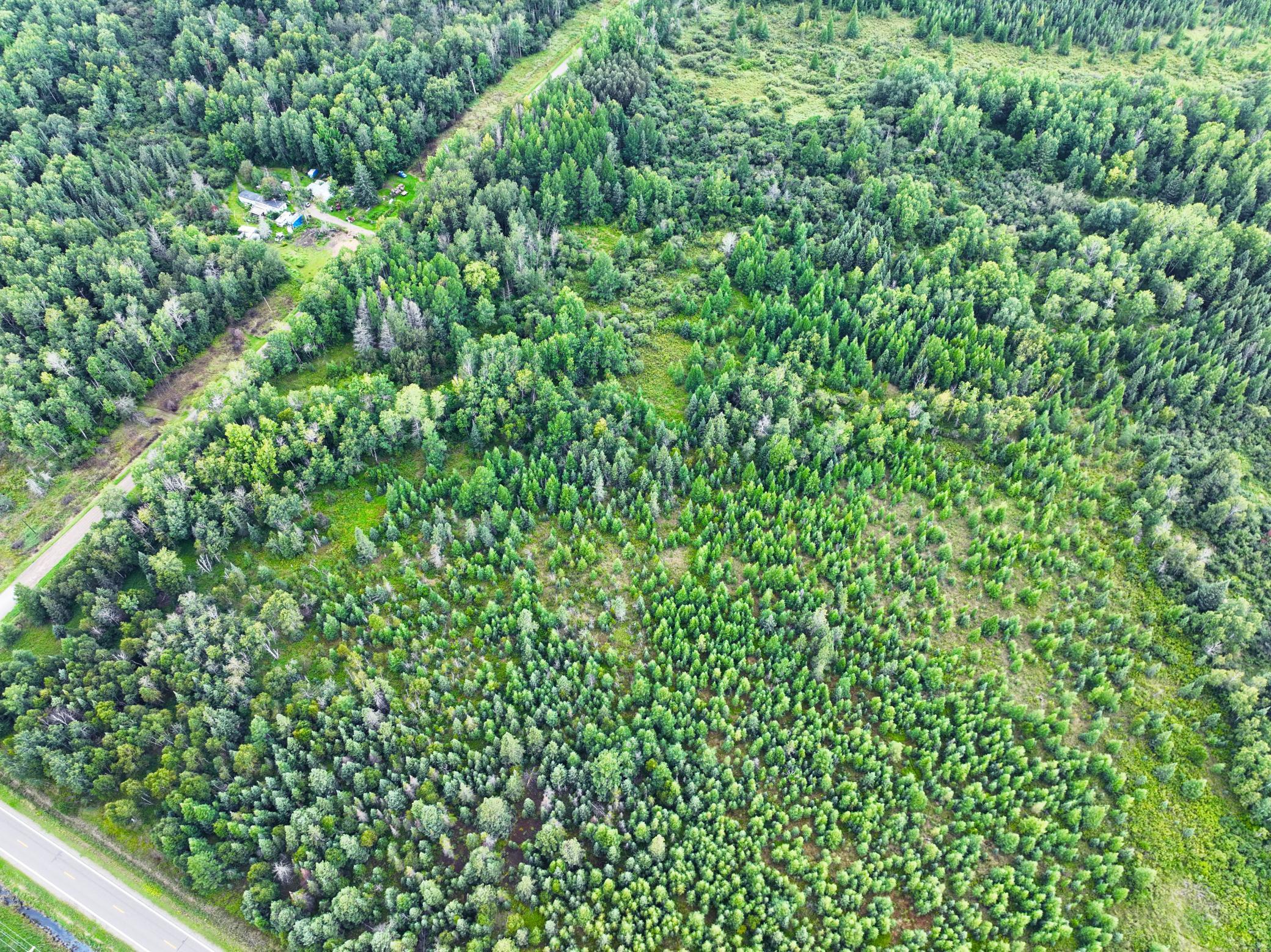 9128 Peary Junction Road