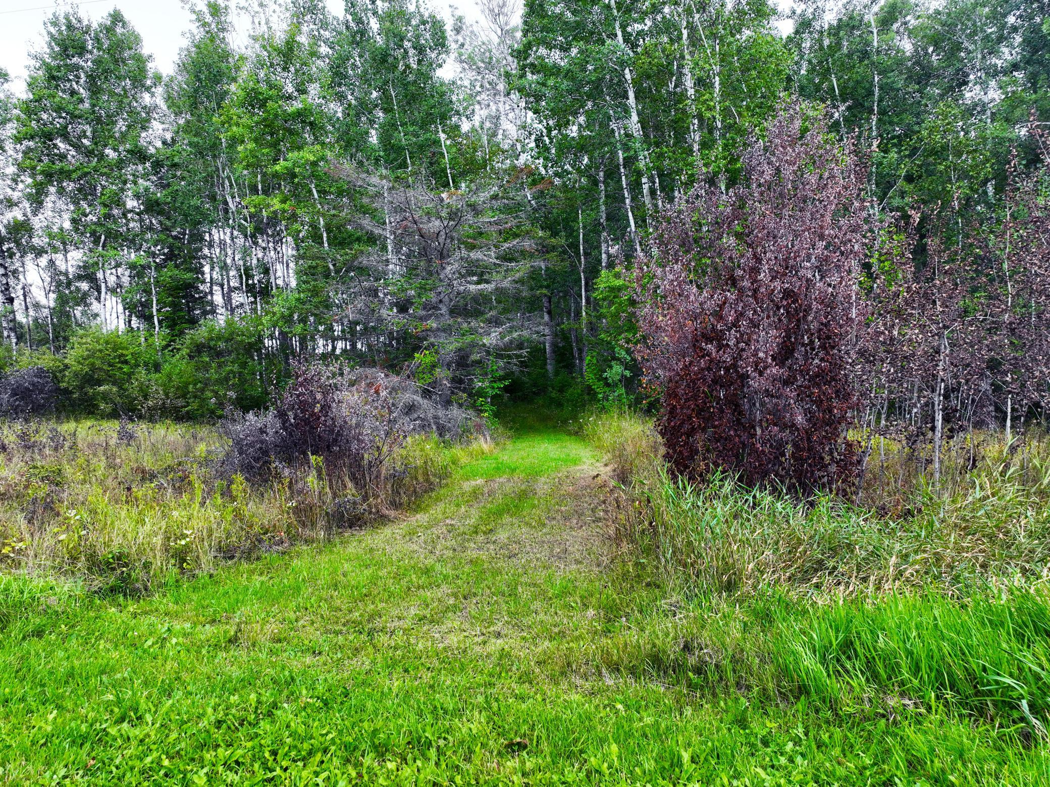 9128 Peary Junction Road