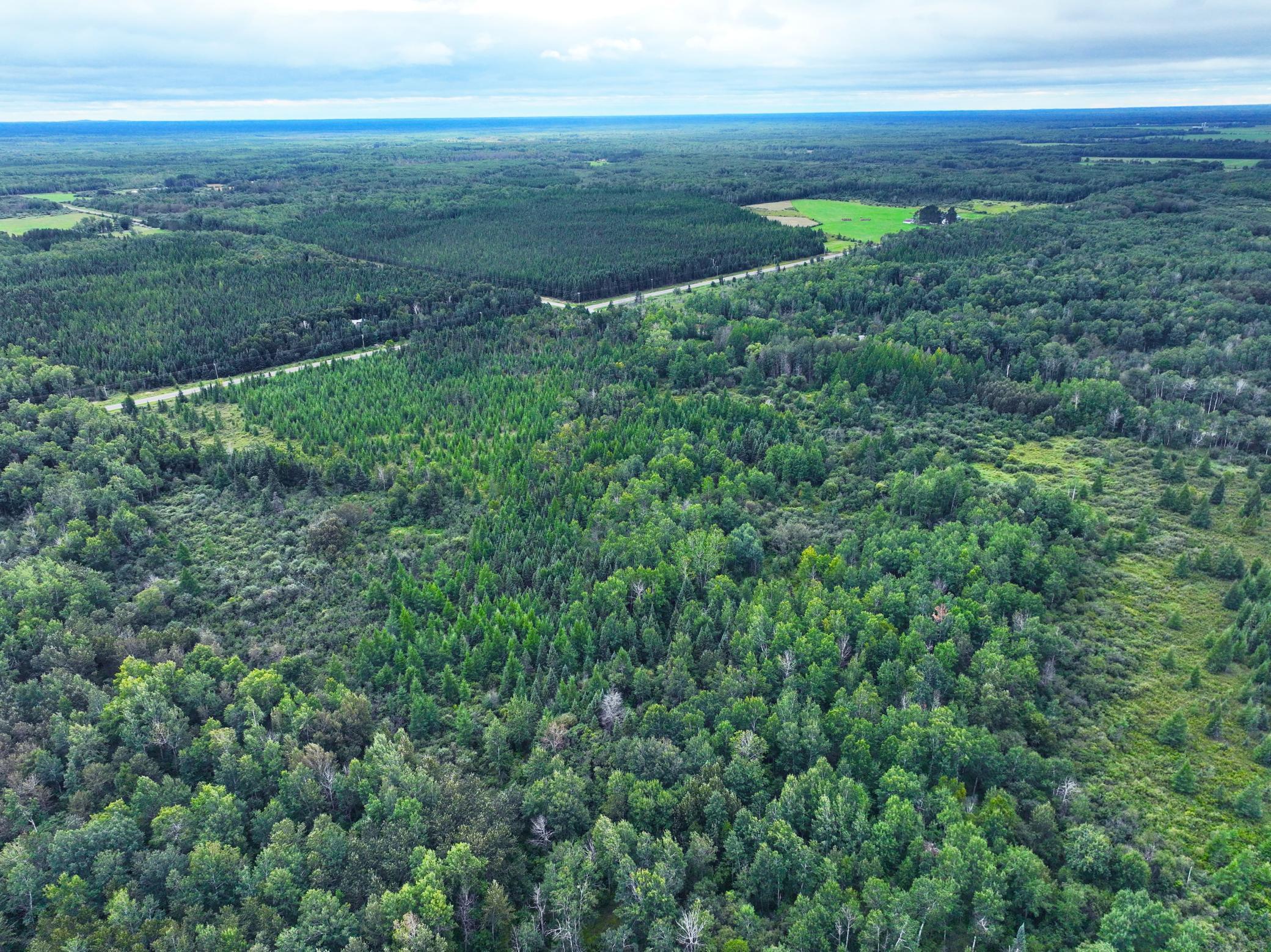 9128 Peary Junction Road