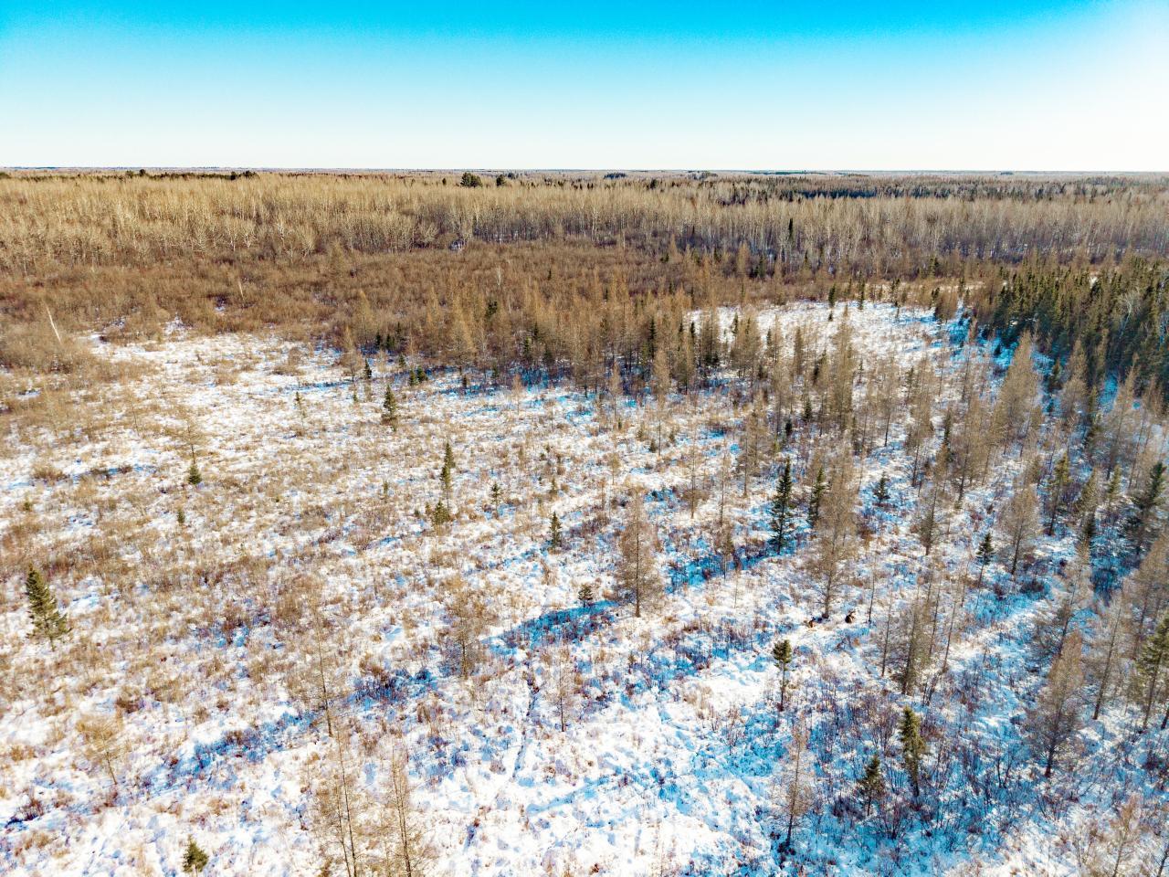 84XX Peary junction Rd