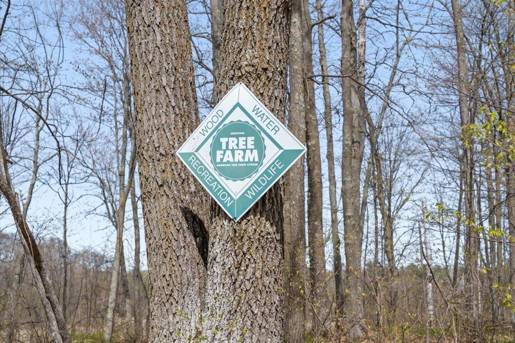 9382 County Road 8