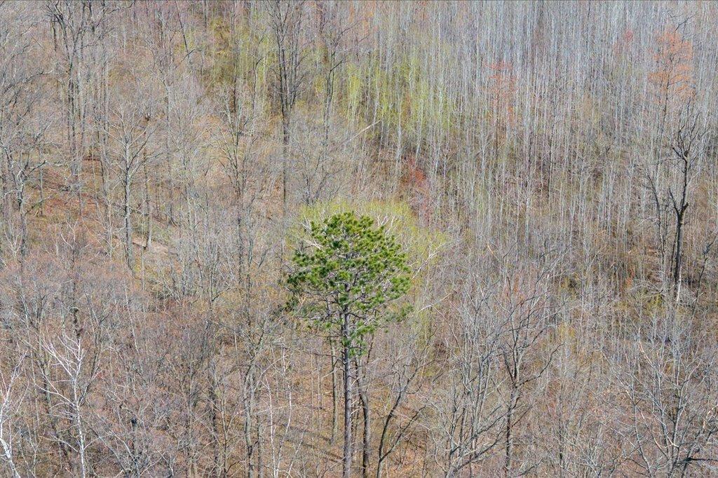 9382 County Road 8
