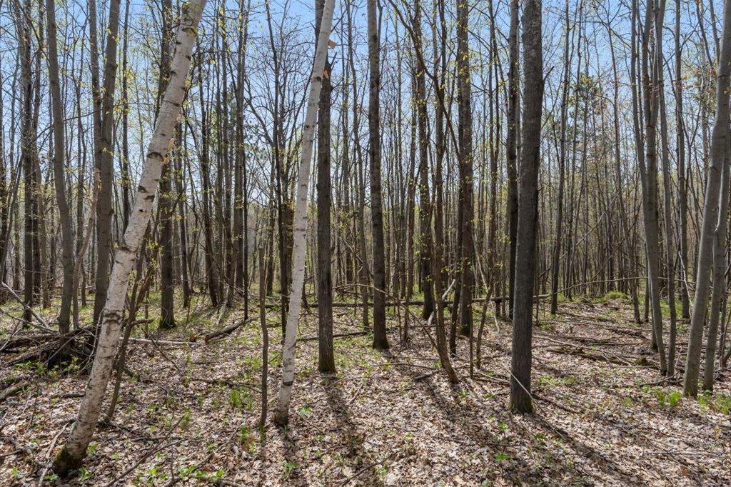9382 County Road 8