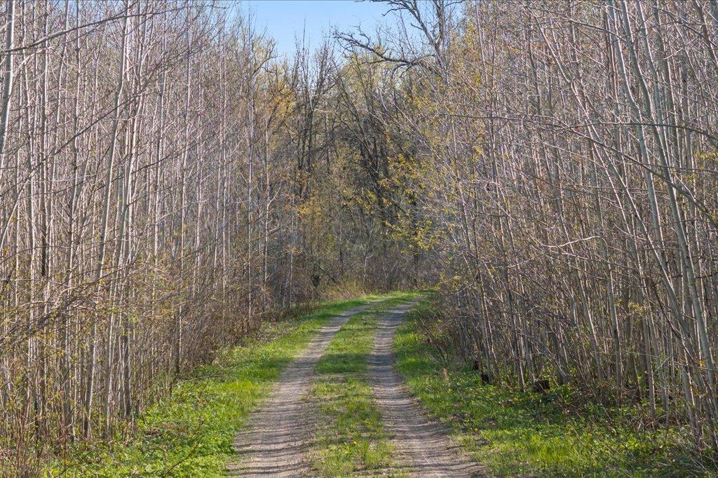 9382 County Road 8