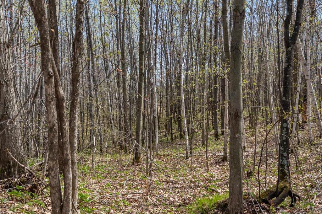 9382 County Road 8