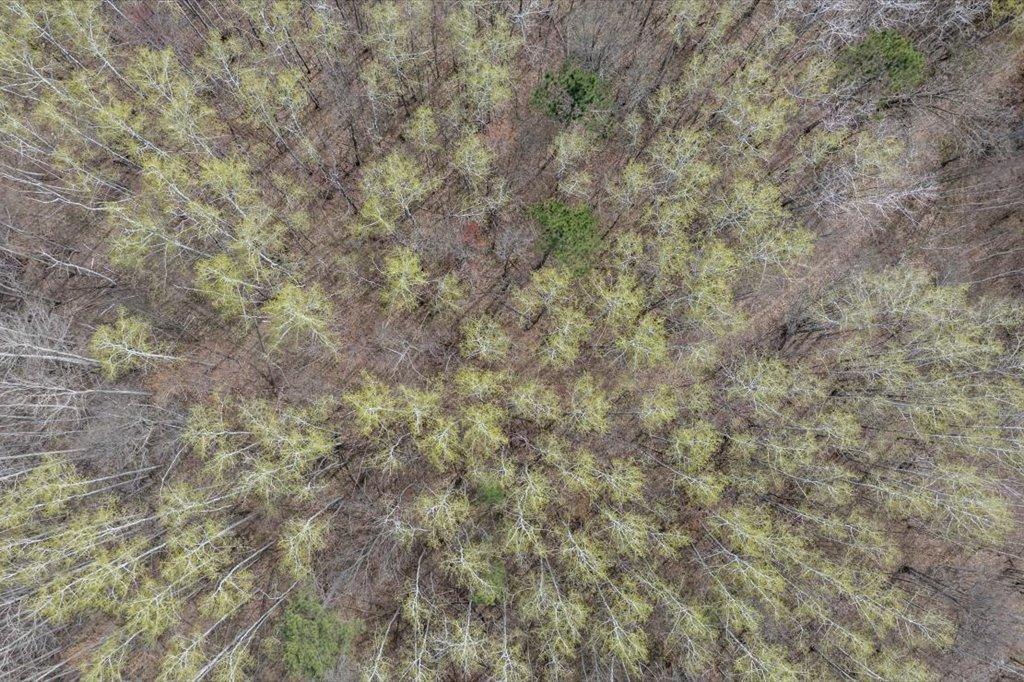 9382 County Road 8