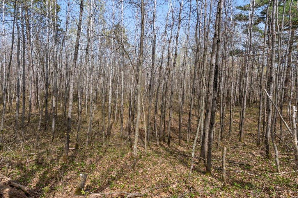 9382 County Road 8