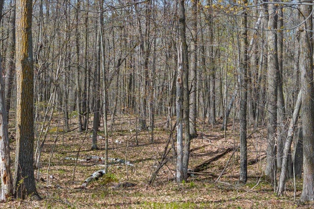 9382 County Road 8