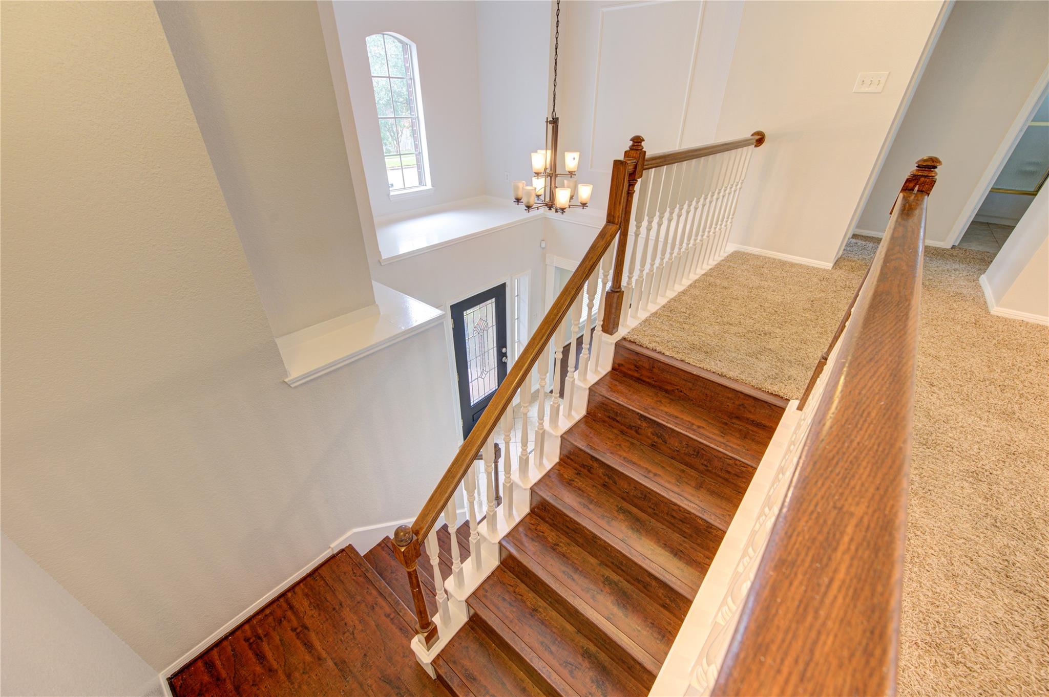 14123 Torrey Forest Drive