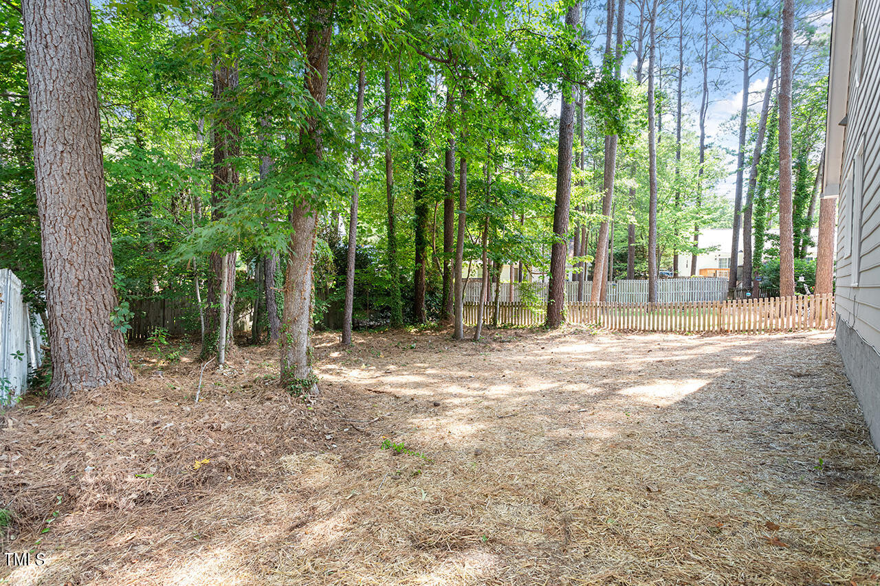 3541 Singleleaf Lane