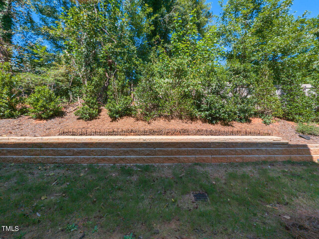 535 Hacksaw Trail