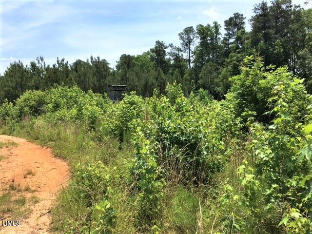 0 Walter Collins Road