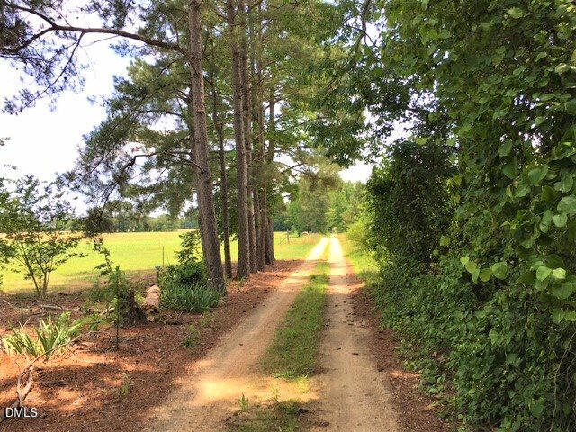 0 Walter Collins Road