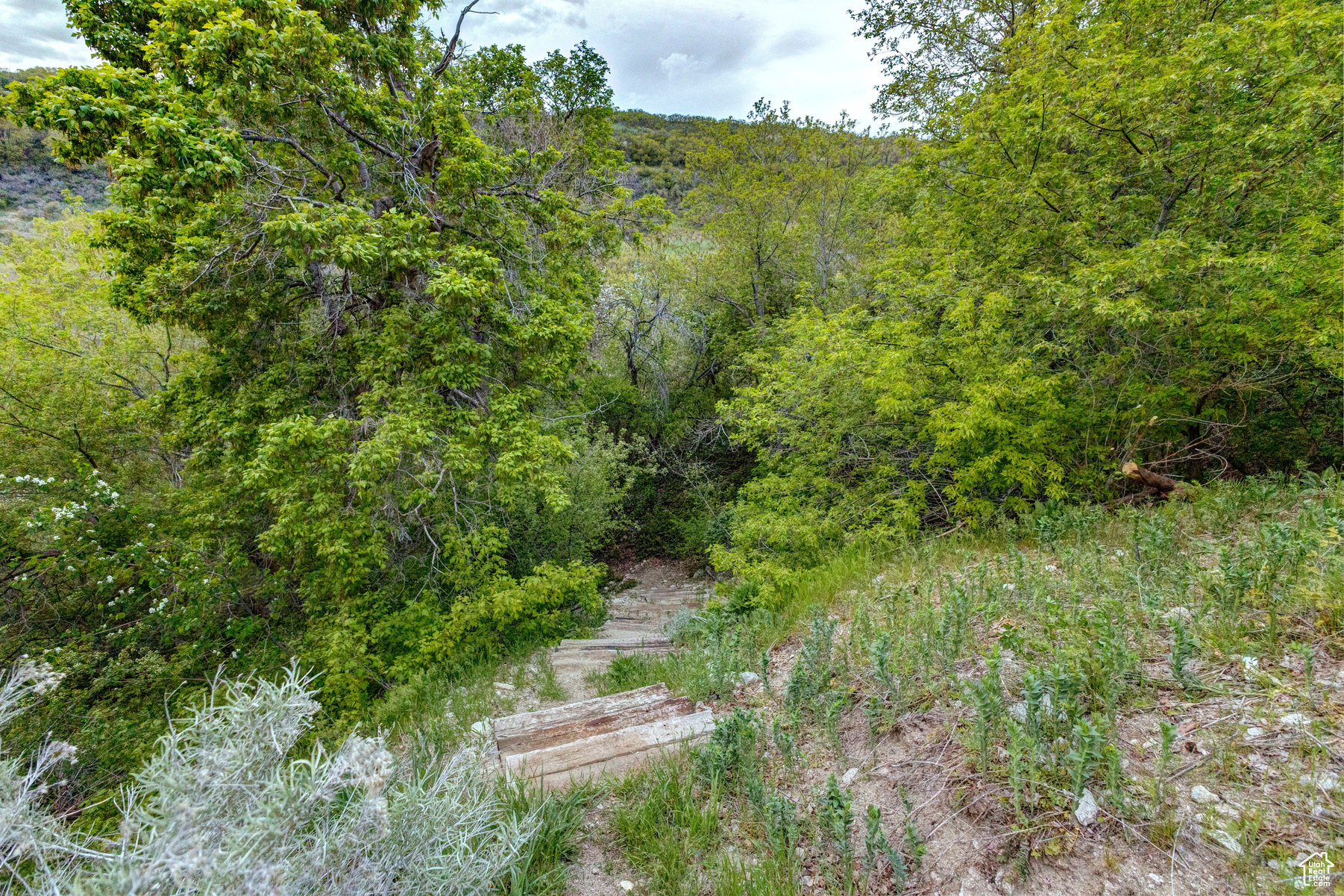 2949 E DIMPLE DELL LN