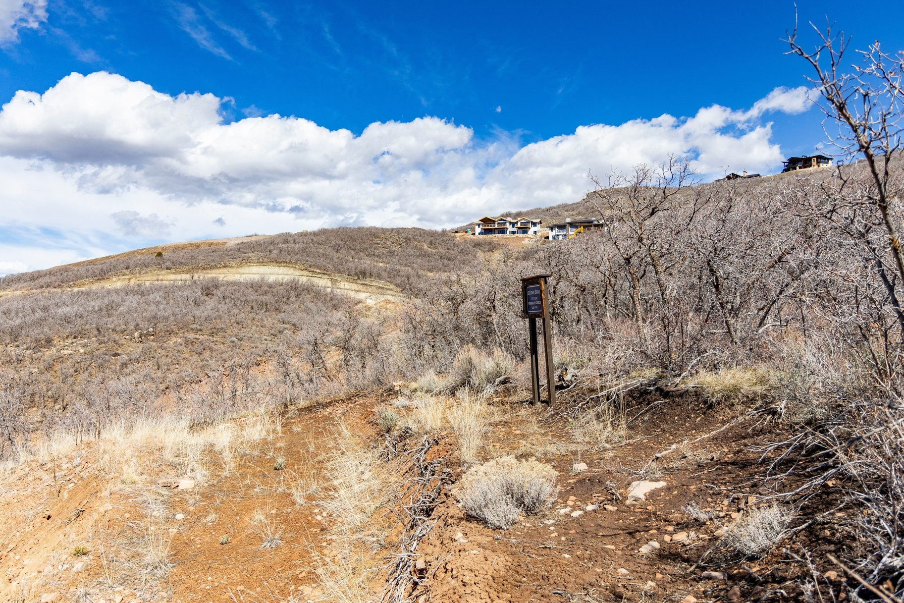 11114 N WRANGLER CIR Unit: 41