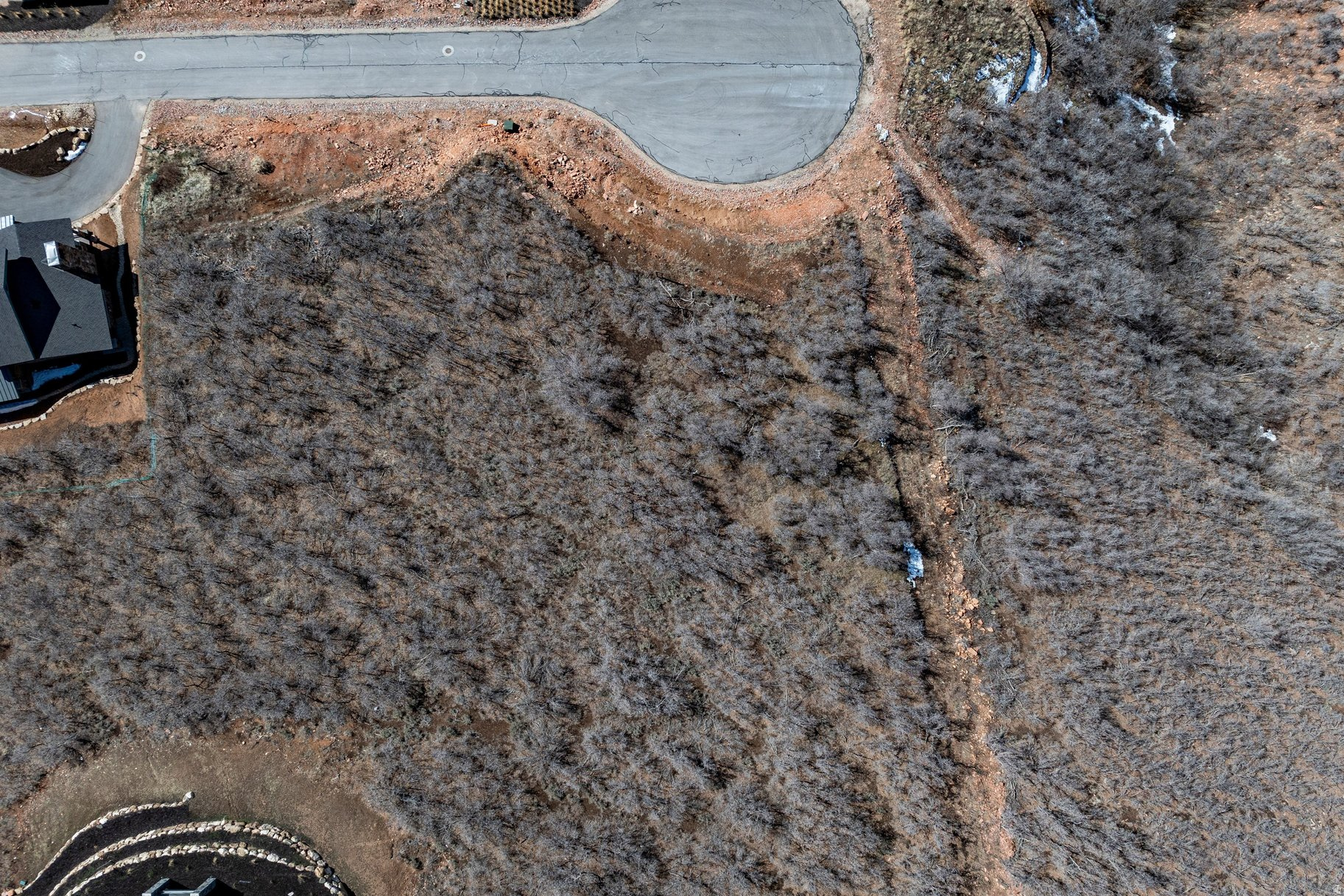 11114 N WRANGLER CIR Unit: 41