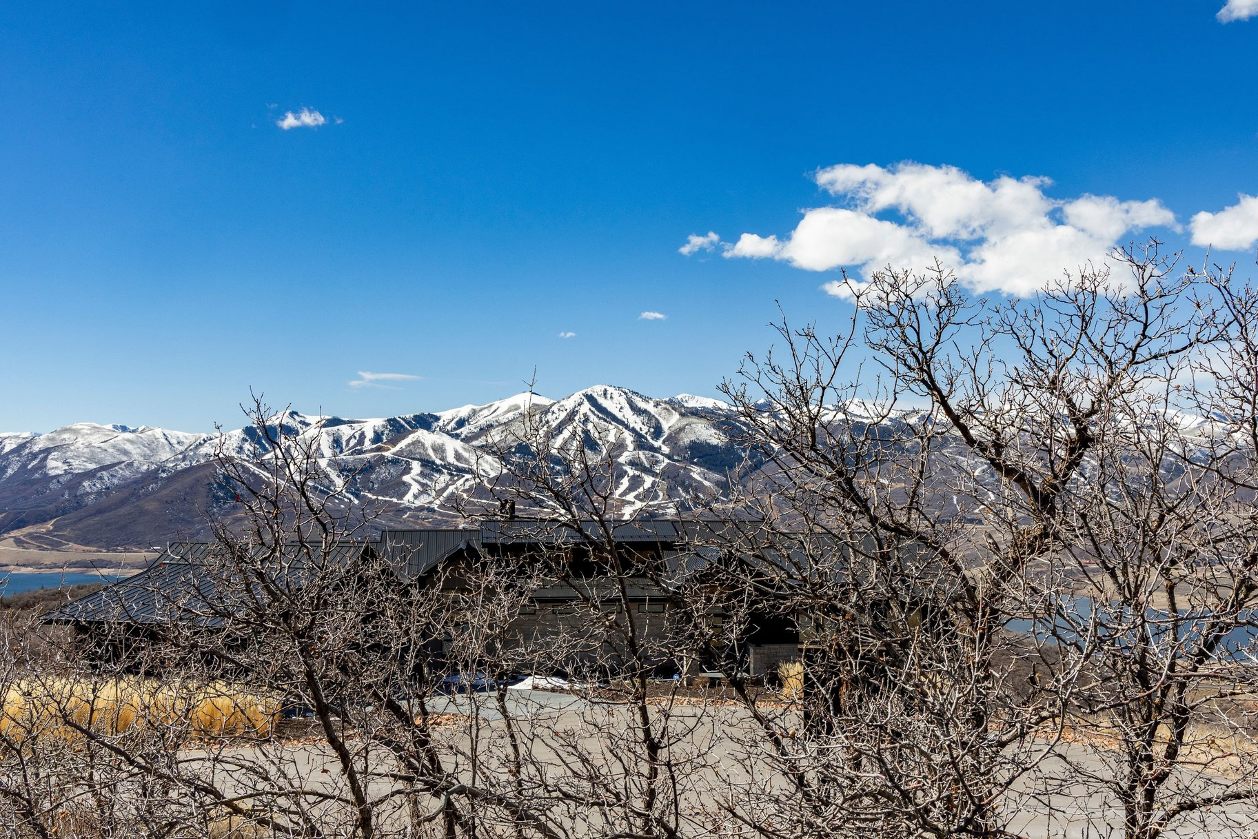 11114 N WRANGLER CIR Unit: 41