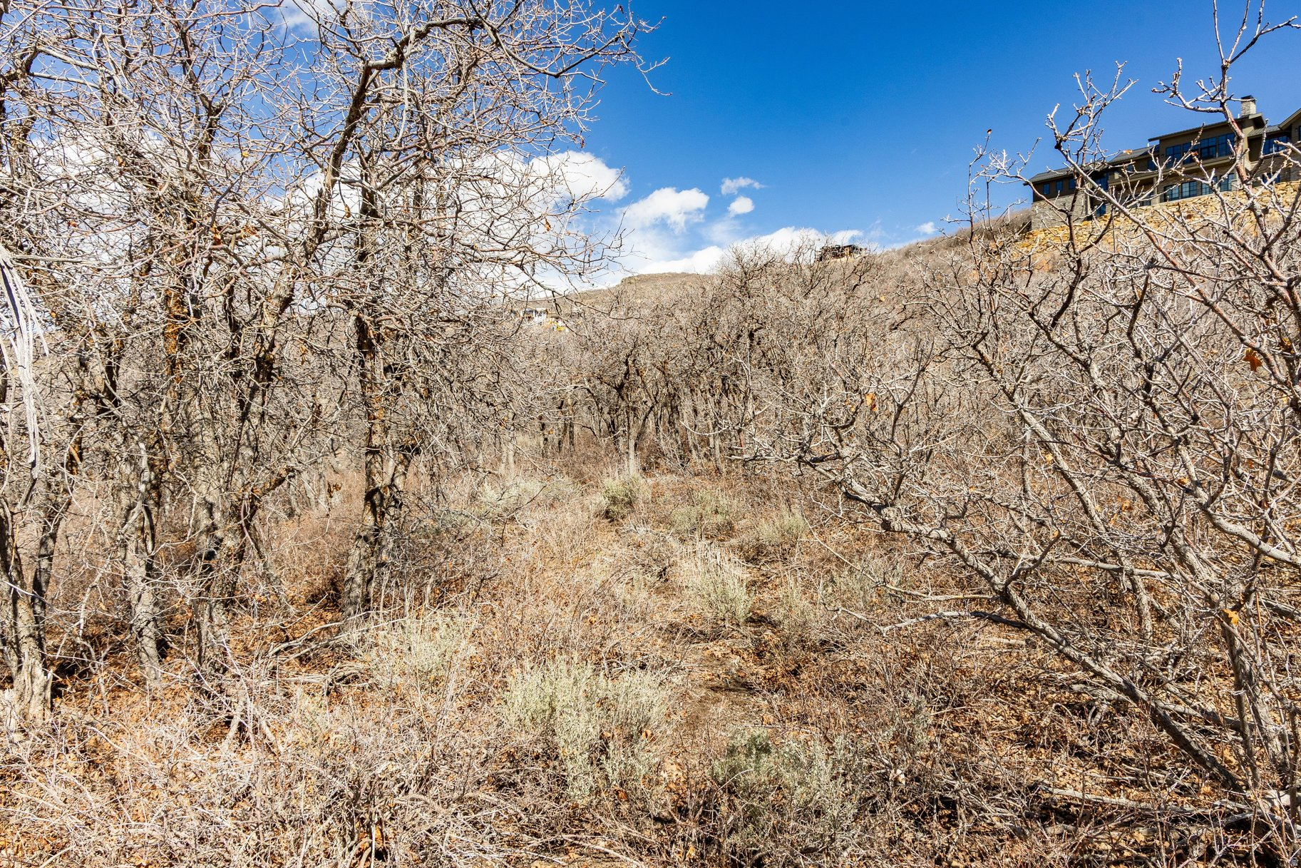 11114 N WRANGLER CIR Unit: 41