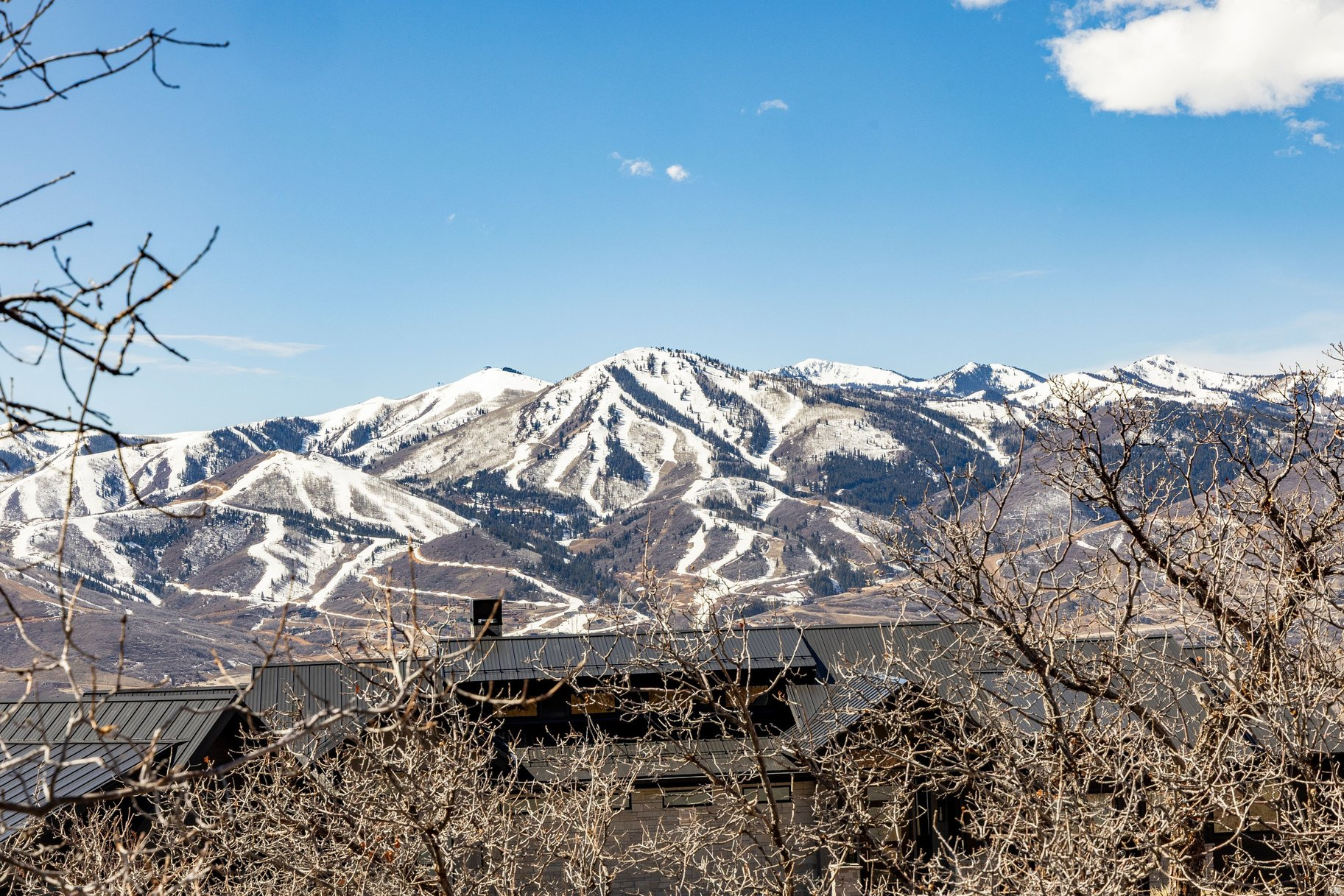 11114 N WRANGLER CIR Unit: 41