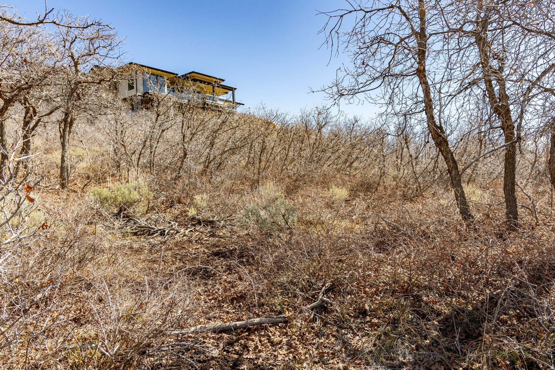 11114 N WRANGLER CIR Unit: 41