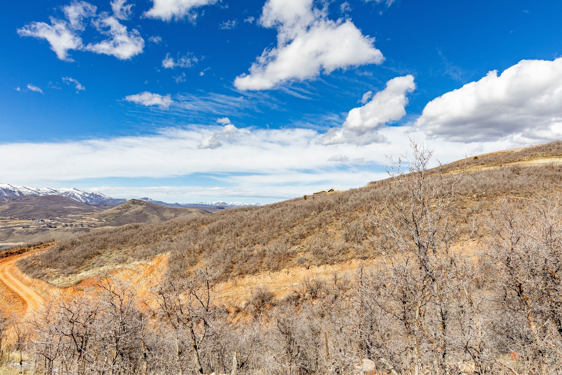 11114 N WRANGLER CIR Unit: 41