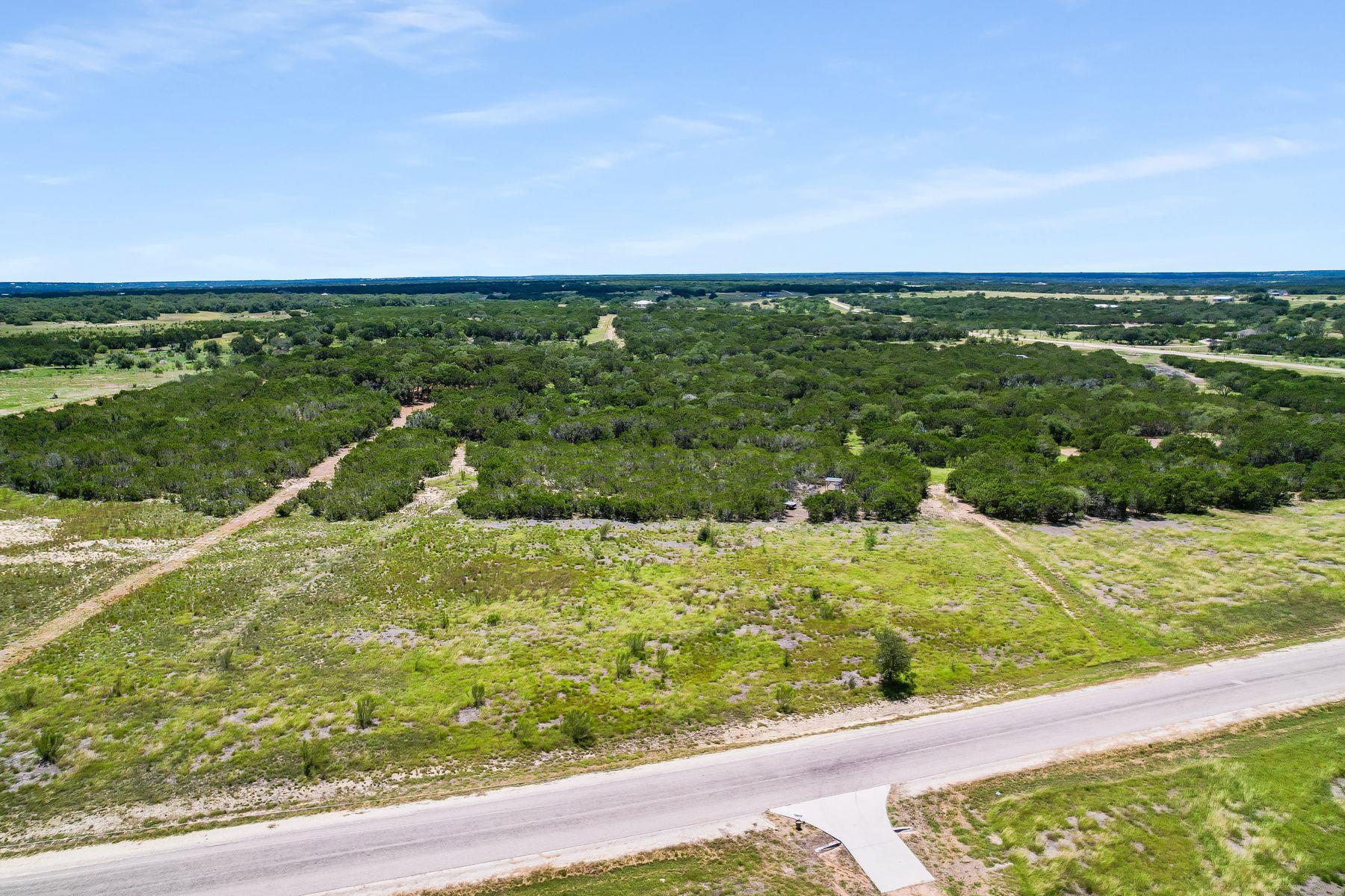 Lot 157B Horned Frog CT