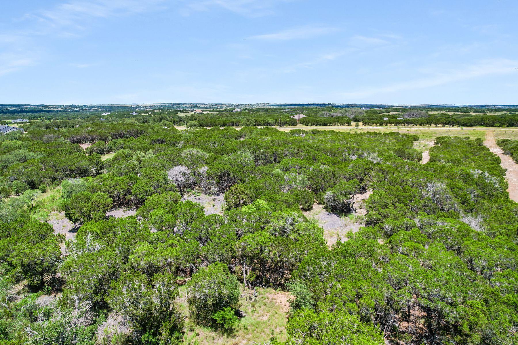 Lot 157B Horned Frog CT