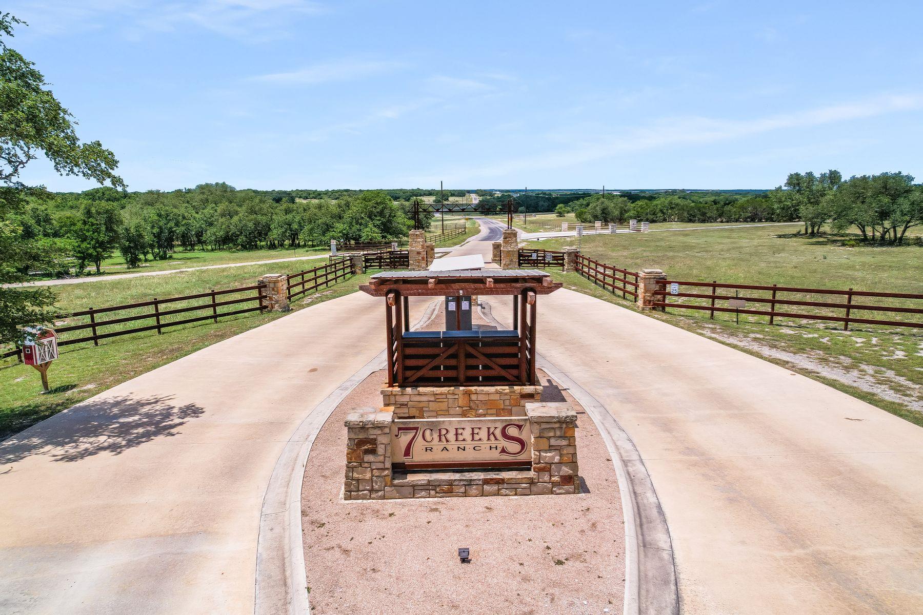 Lot 157B Horned Frog CT