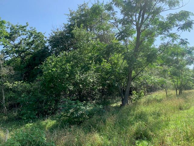262 Colovista PKWY