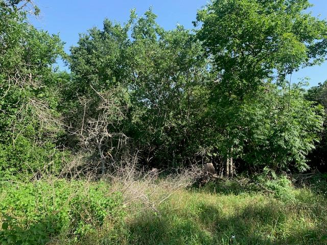 262 Colovista PKWY