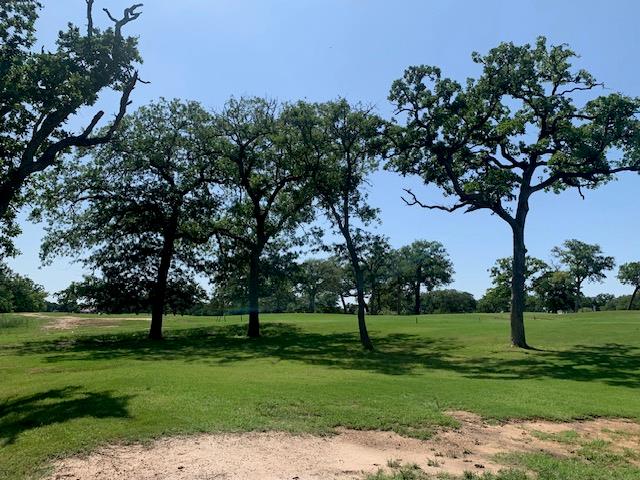 262 Colovista PKWY