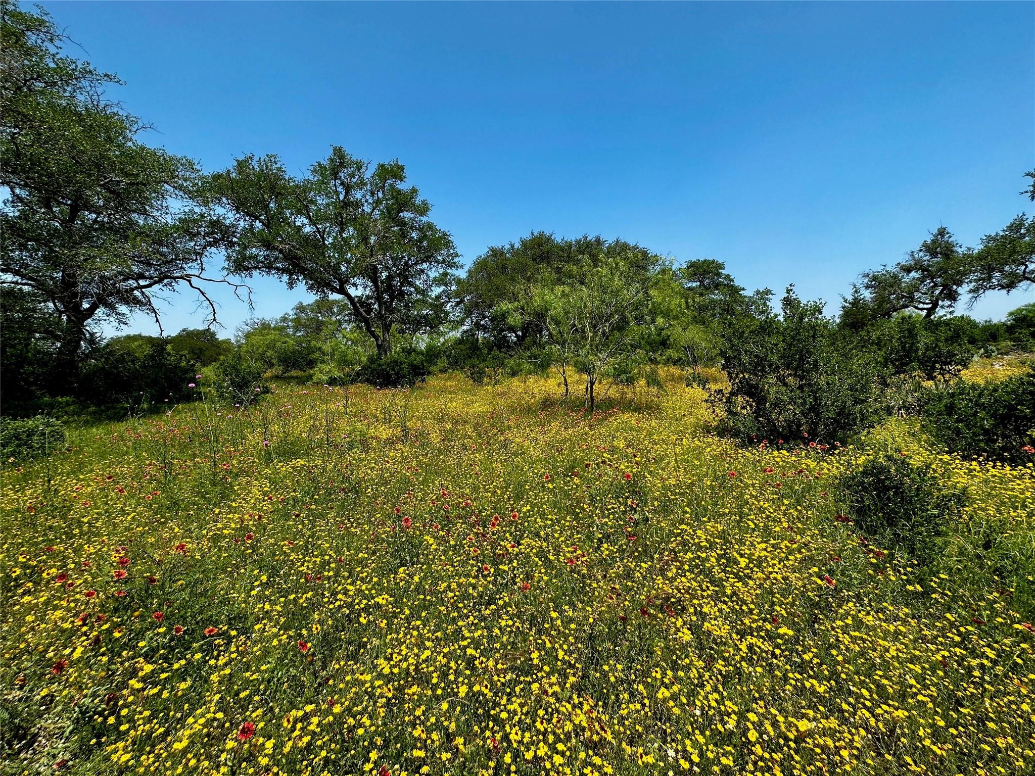 Lot 4 Colorado Canyon DR