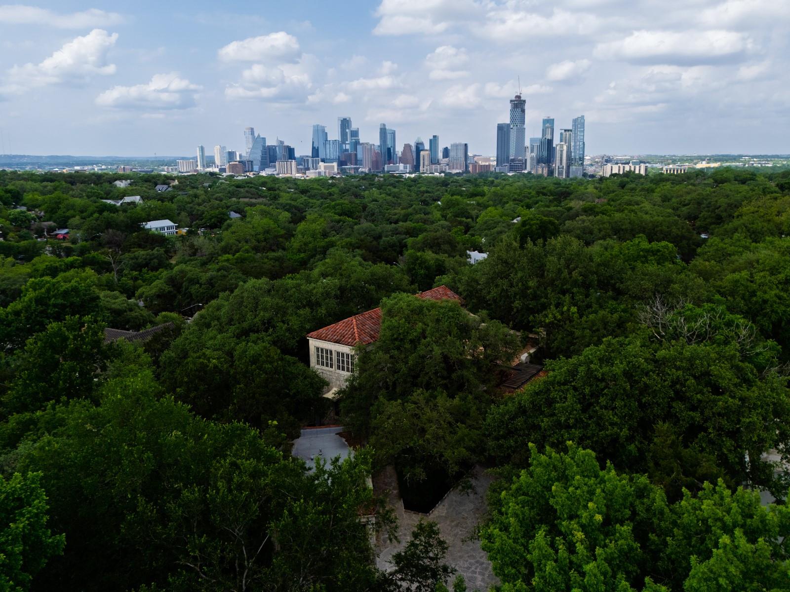 806 Rosedale TER, Austin