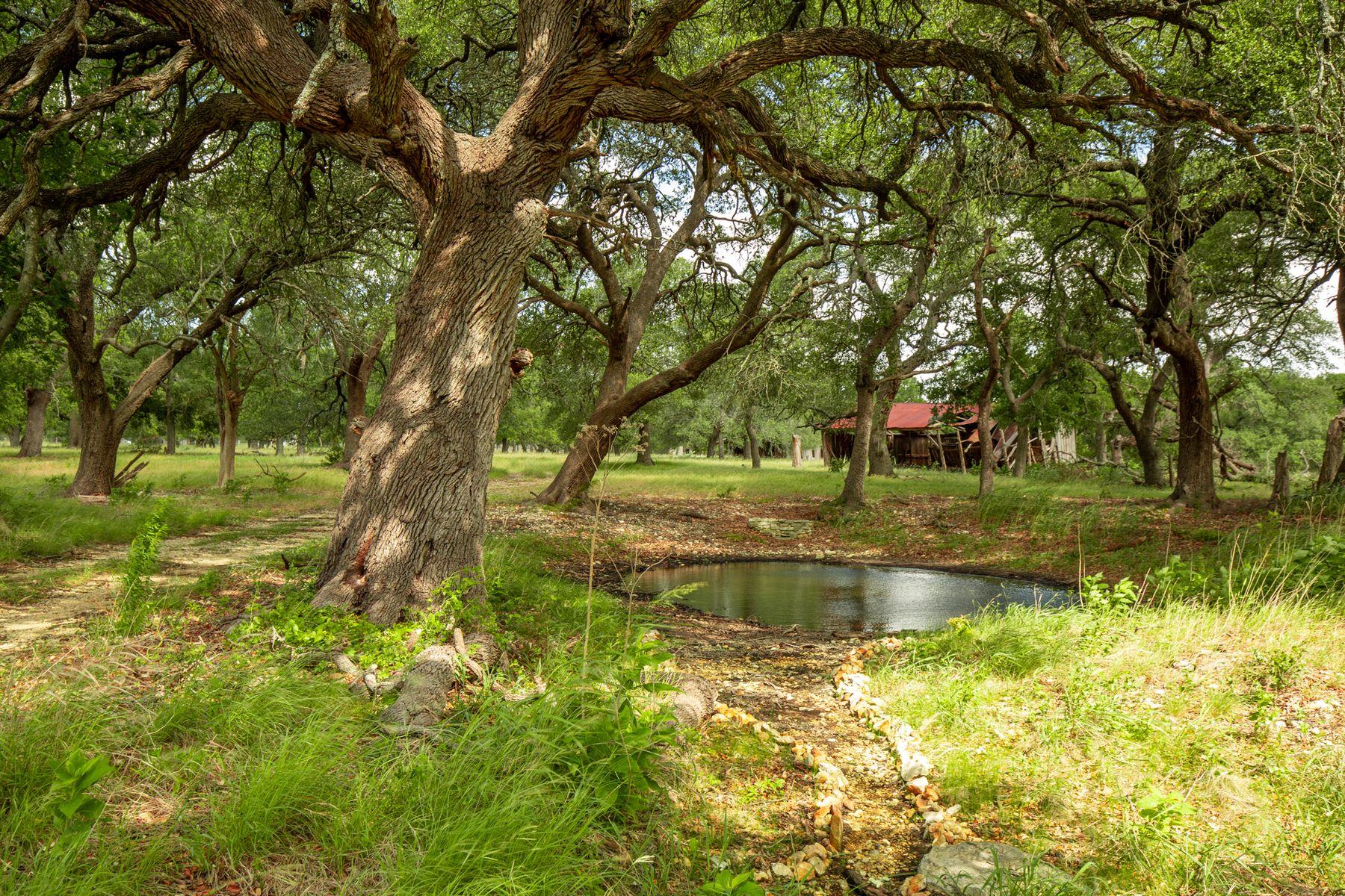 950 County Road 251
