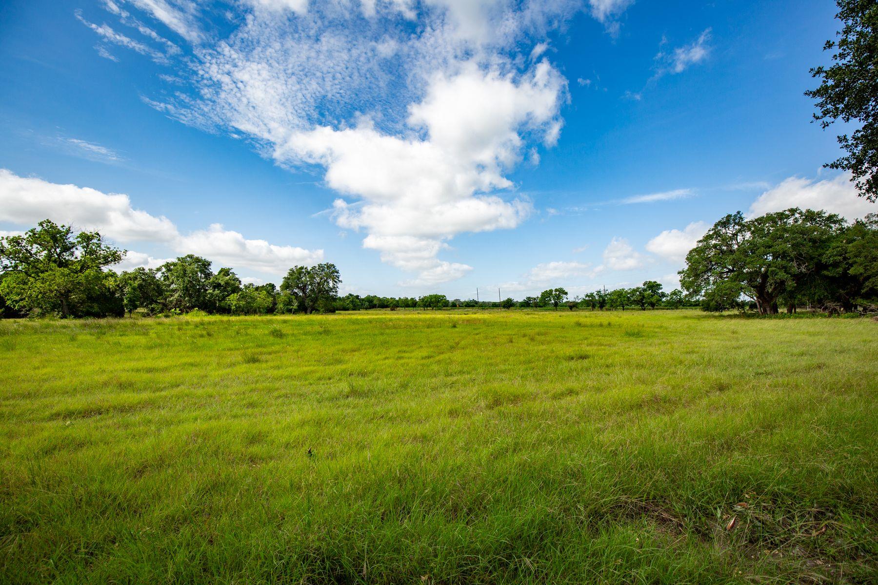 950 County Road 251