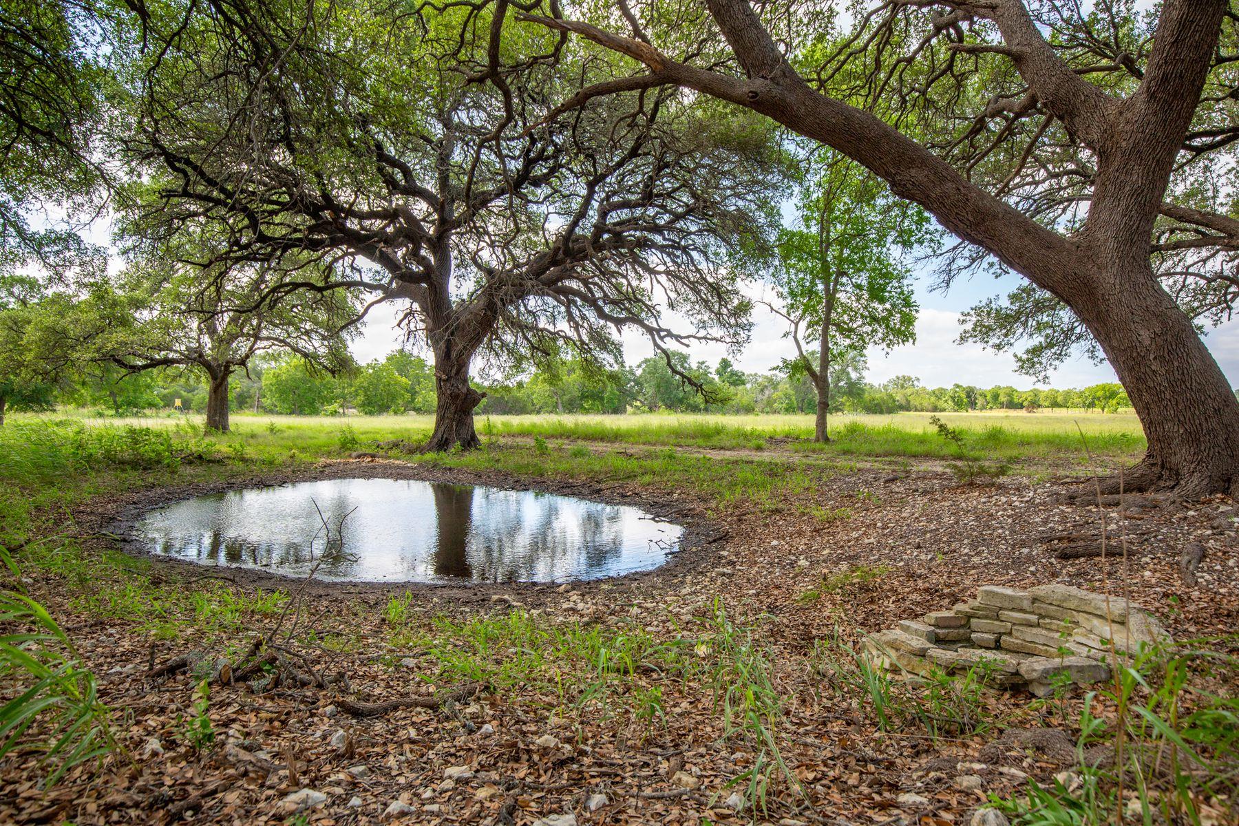 950 County Road 251