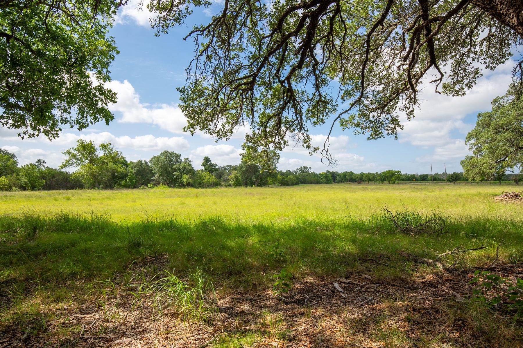 950 County Road 251