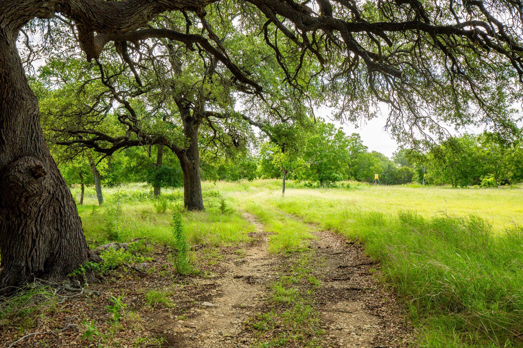 950 County Road 251