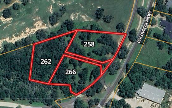 266 Colovista PKWY