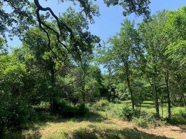 266 Colovista PKWY