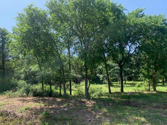 266 Colovista PKWY