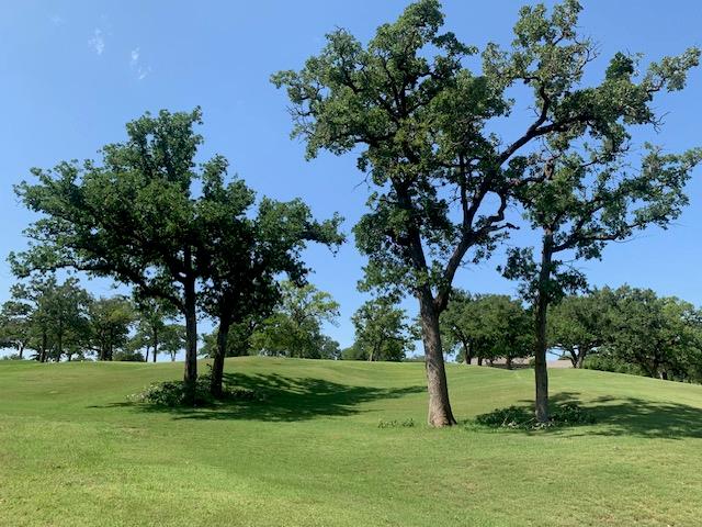 258 Colovista PKWY