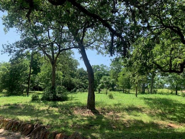 258 Colovista PKWY