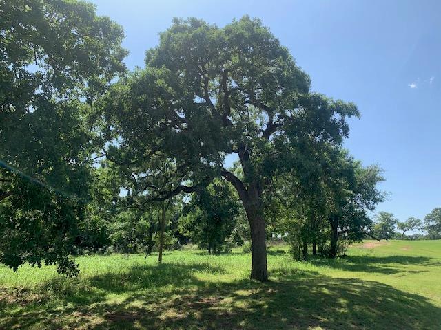 258 Colovista PKWY
