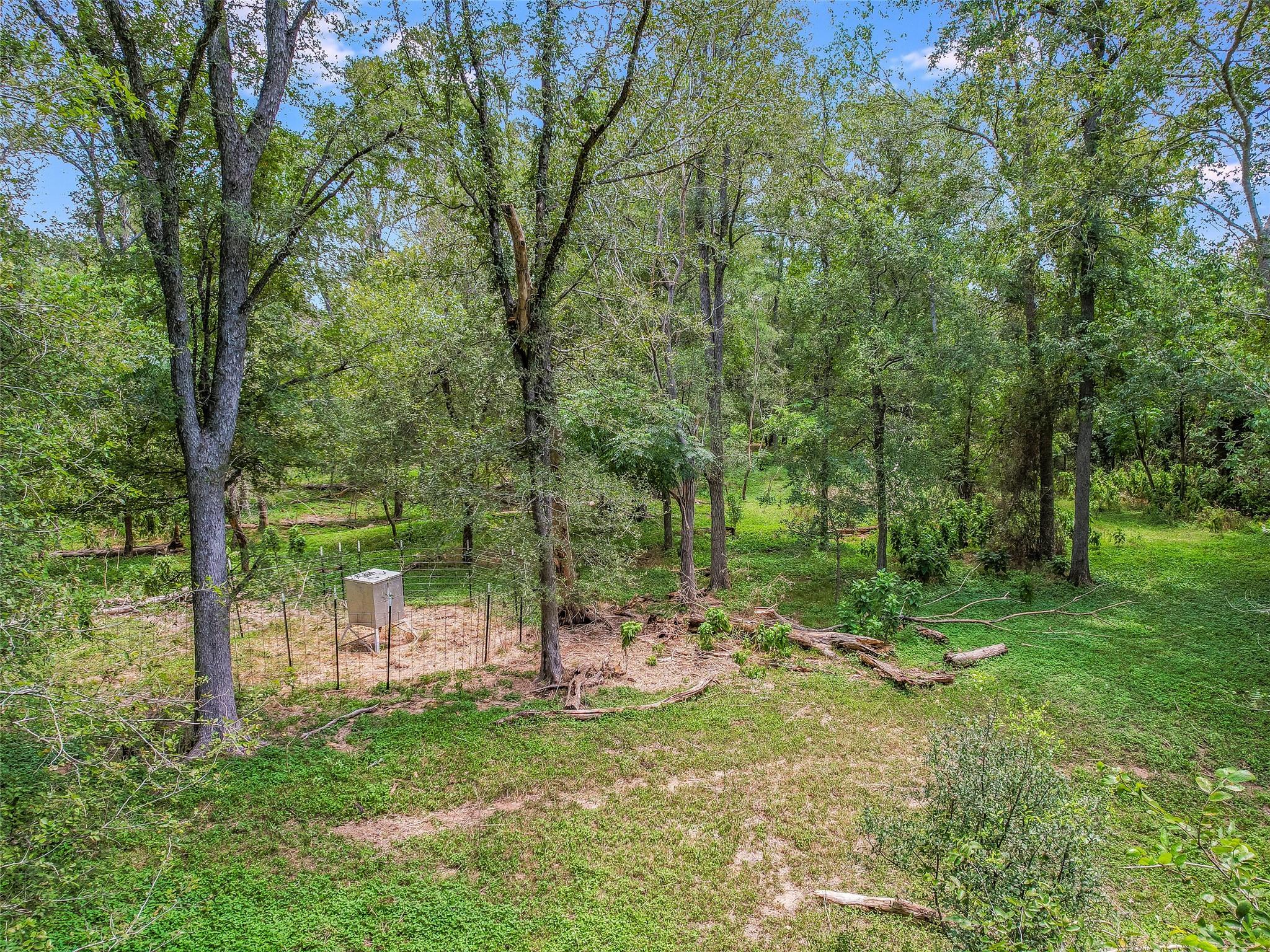 TBD Doc Bryson LN